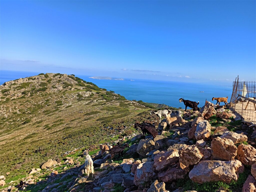 landscape crete island 3