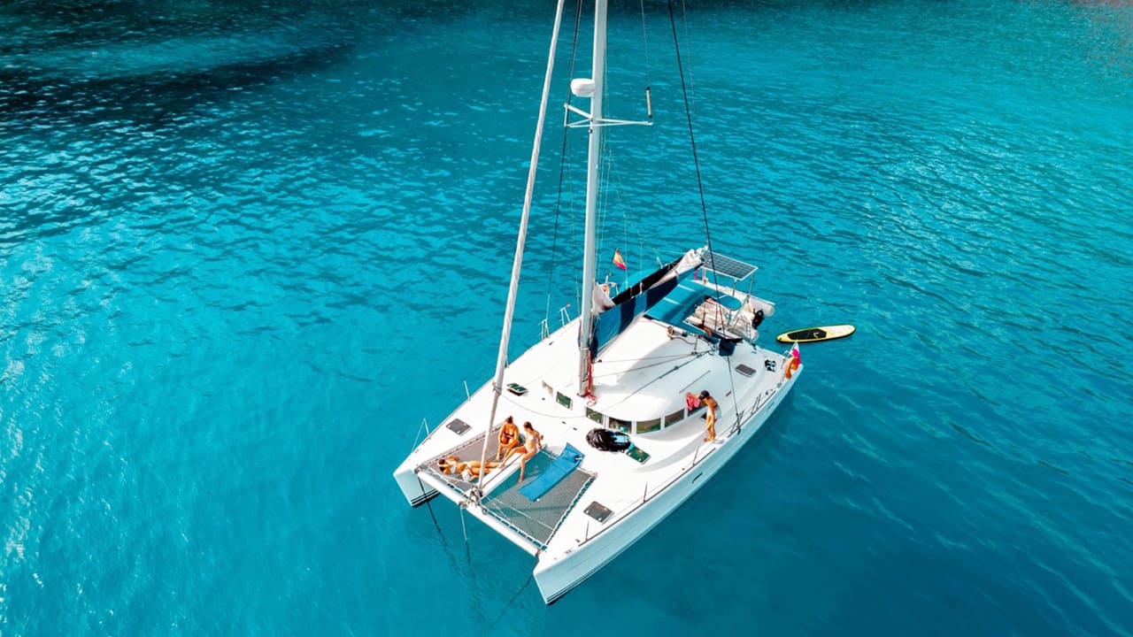catamaran trip